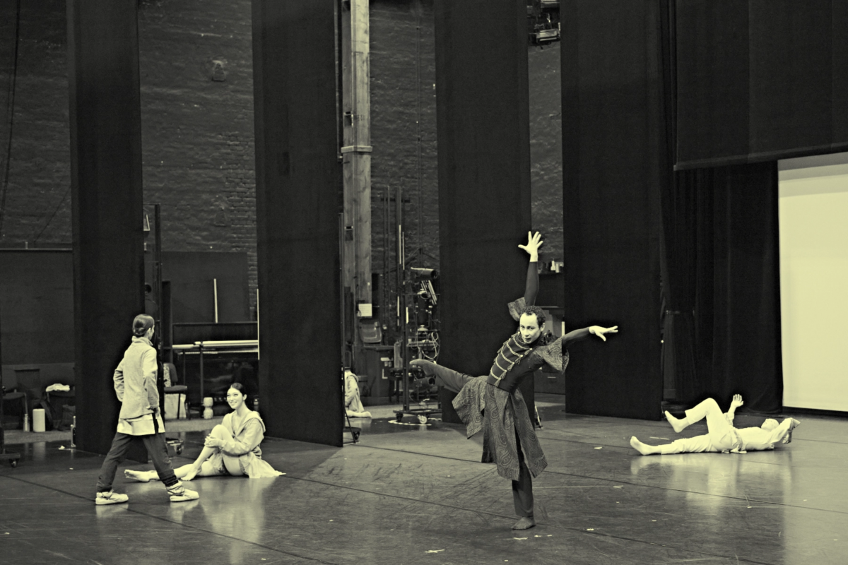 »Petruschka«. Produktion, Foto: Admill Kuyler.