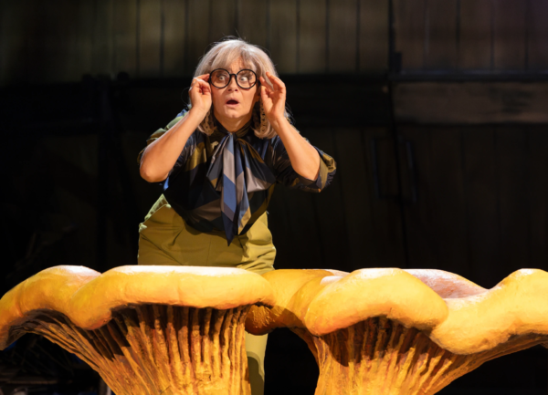 »Neues vom Räuber Hotzenplotz«. Antje Trautmann als Großmutter. Foto: Silke Winkler.